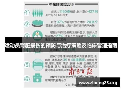 运动员肾脏损伤的预防与治疗策略及临床管理指南